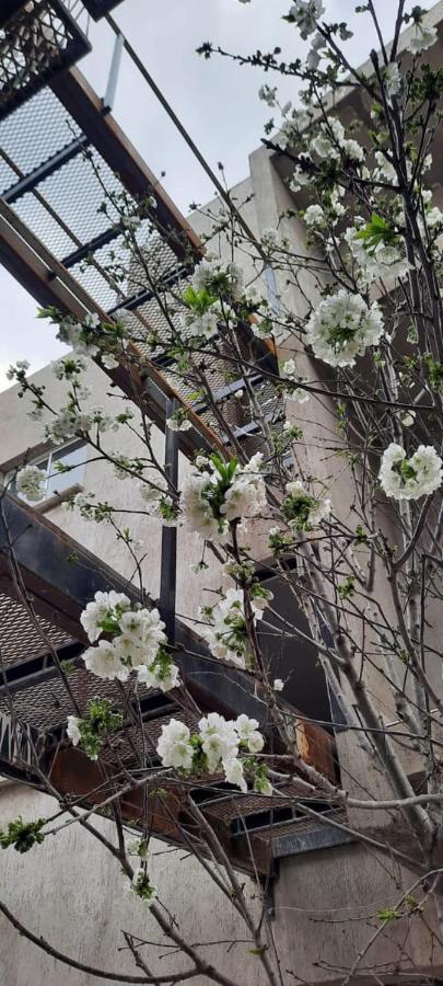 El Cerezo Apartment Mendoza Ngoại thất bức ảnh