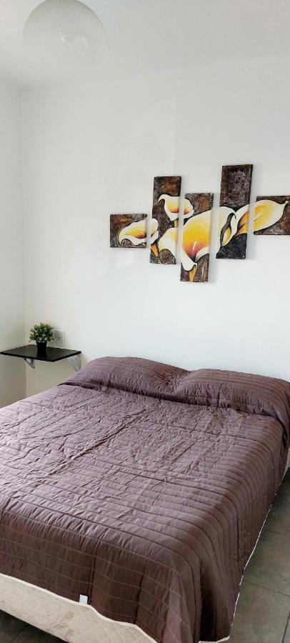 El Cerezo Apartment Mendoza Ngoại thất bức ảnh
